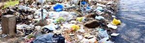 مدیریت زباله و محیط زیست با کرم خاکی